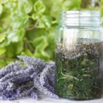 Lavender Flowers And Coconut Oil Free Stock Photo - Public Domain Pictures